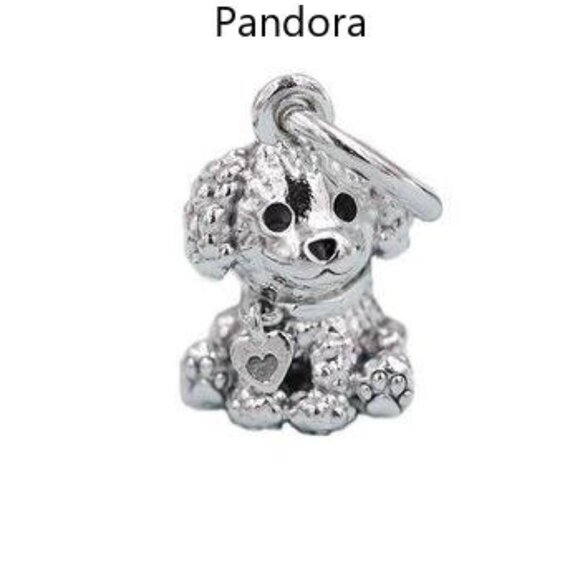 Pandora Charms - Picture 2 of 4